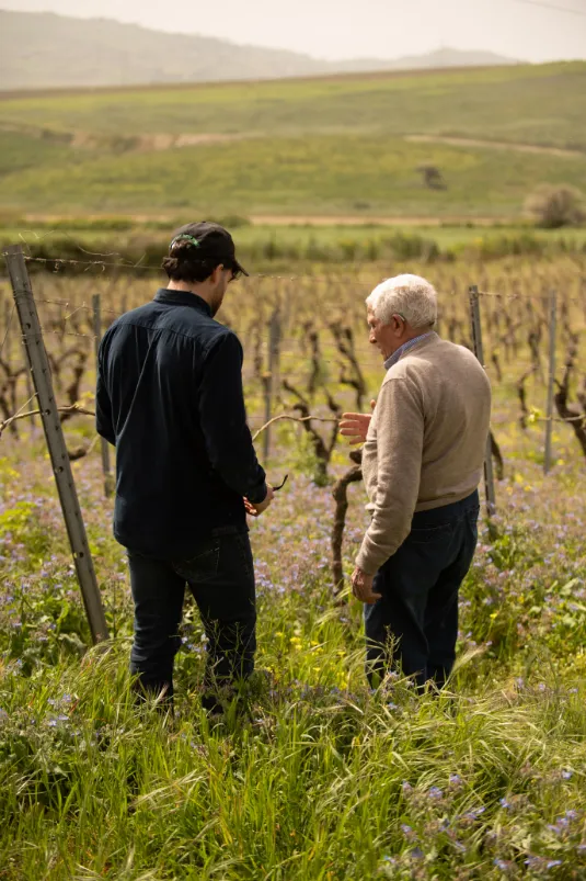 Salvatore, il fondatore, con il nipote tra i vigneti della tenuta Feudi Saraceno a Castellammare del Golfo
