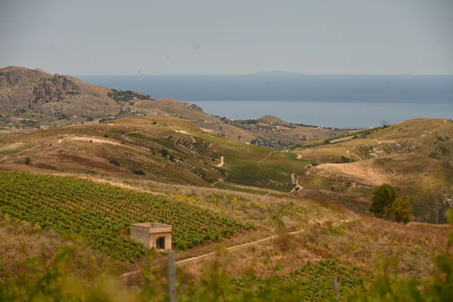 Le colline di Castellammare del Golfo affacciate sul mare, territorio di Feudi Saraceno